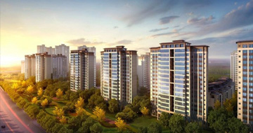 ��æ����(�й���)���޹�˾����